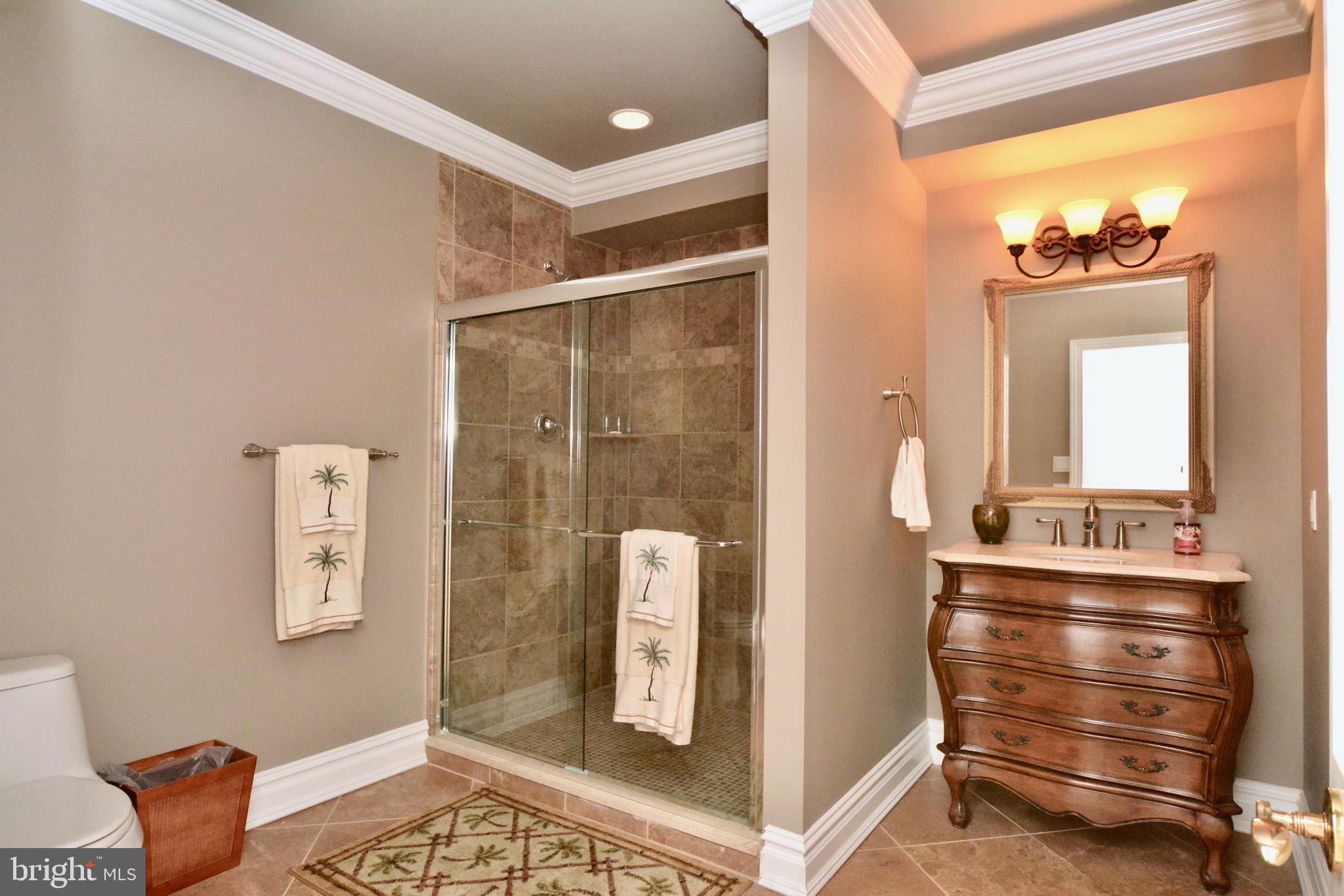 8 Silvers Court Pennington, NJ 08534 - Photo 41 of 43 Full bathroom in finished lower level.
