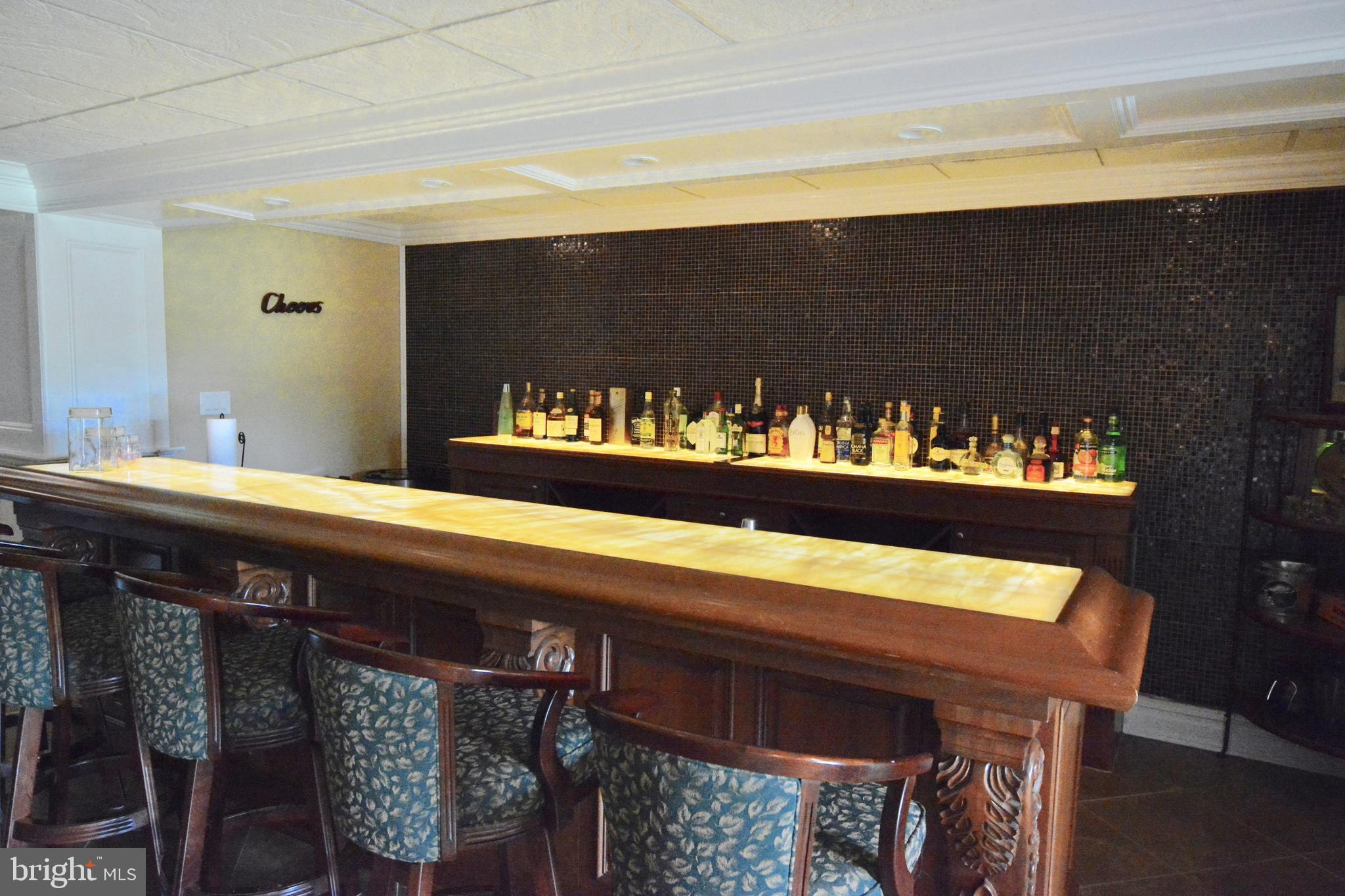 8 Silvers Court Pennington, NJ 08534 - Photo 42 of 43 Onyx bar and counter tops that are back-lit.