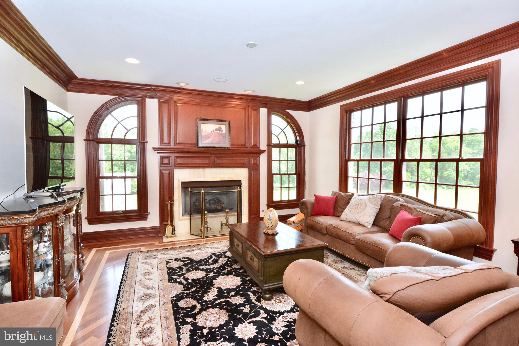 8 Silvers Court Pennington, NJ 08534 - Photo 6 of 43 Den with gas fireplace and handsome moldings.