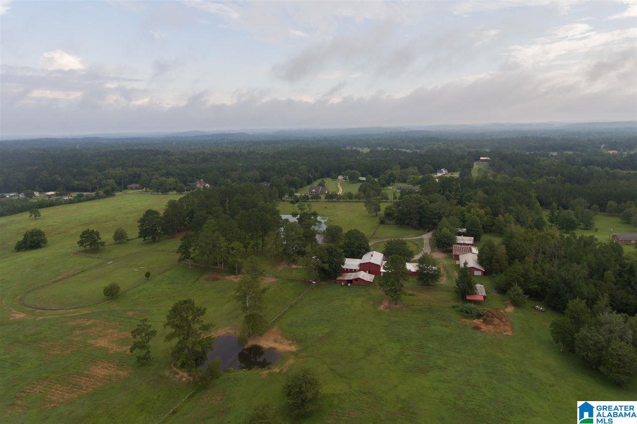 1366 Holland-Finley Road Jacksonville, AL 36265 - Photo 7 of 33