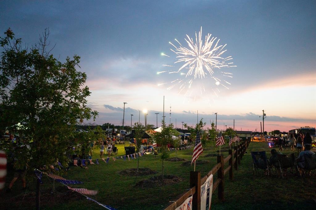 Tbd West Maple Street Gunter, TX 75058 - Photo 5 of 10