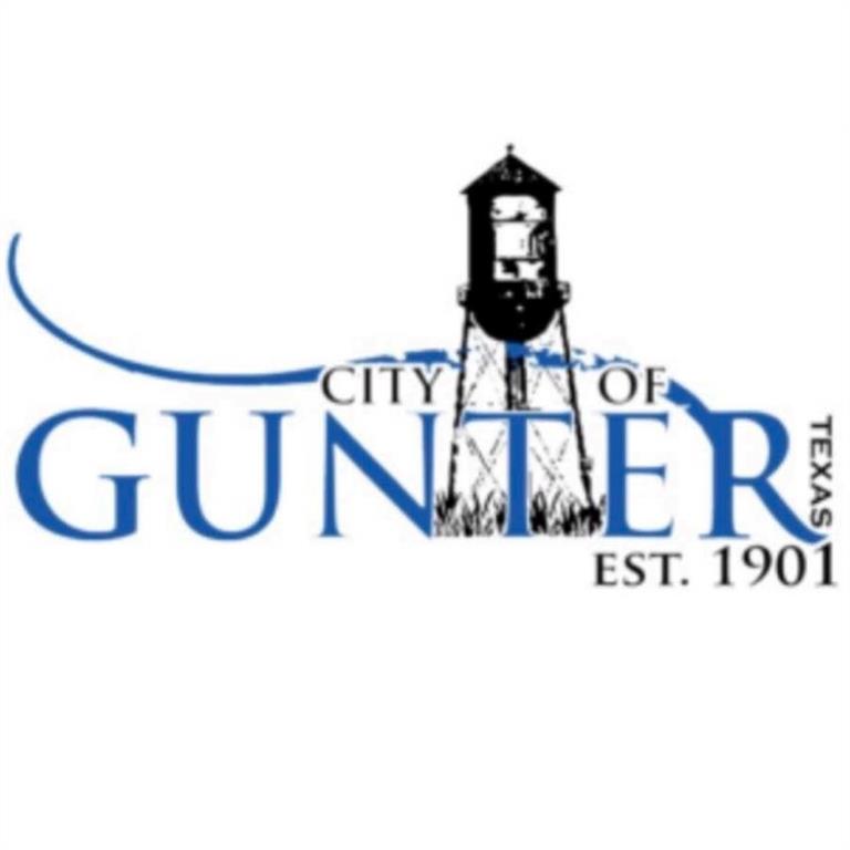 Tbd West Maple Street Gunter, TX 75058 - Photo 10 of 10