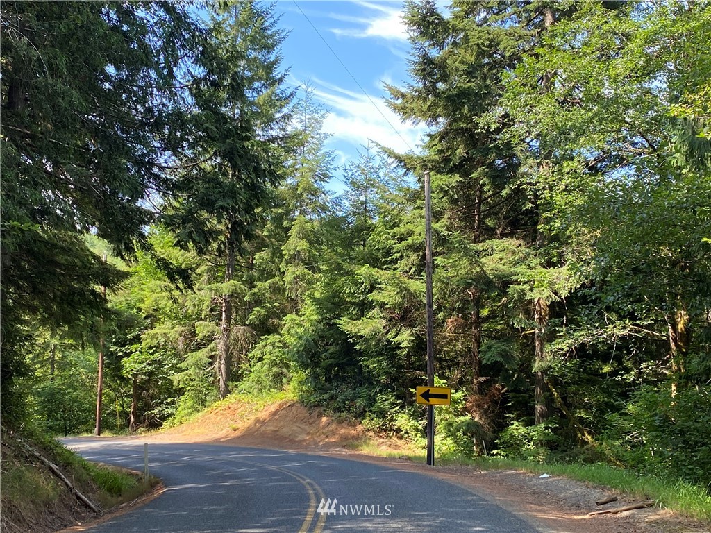 0 Stamper Road Elma, WA 98541 - Photo 1 of 11 Gallery Image 1