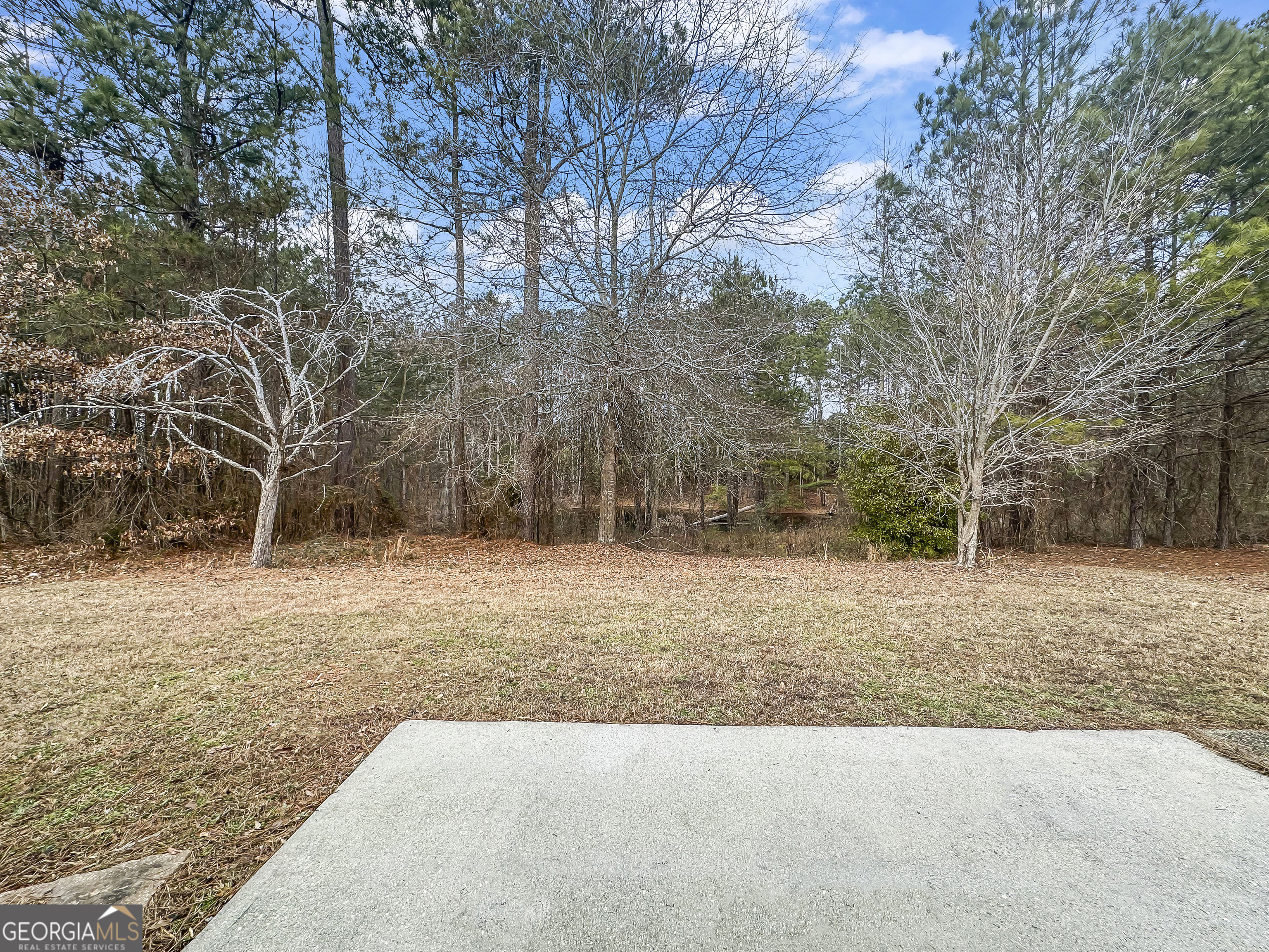 1395 Stephens Pond View Loganville, GA 30052 - Photo 19 of 20 a view of a yard with trees