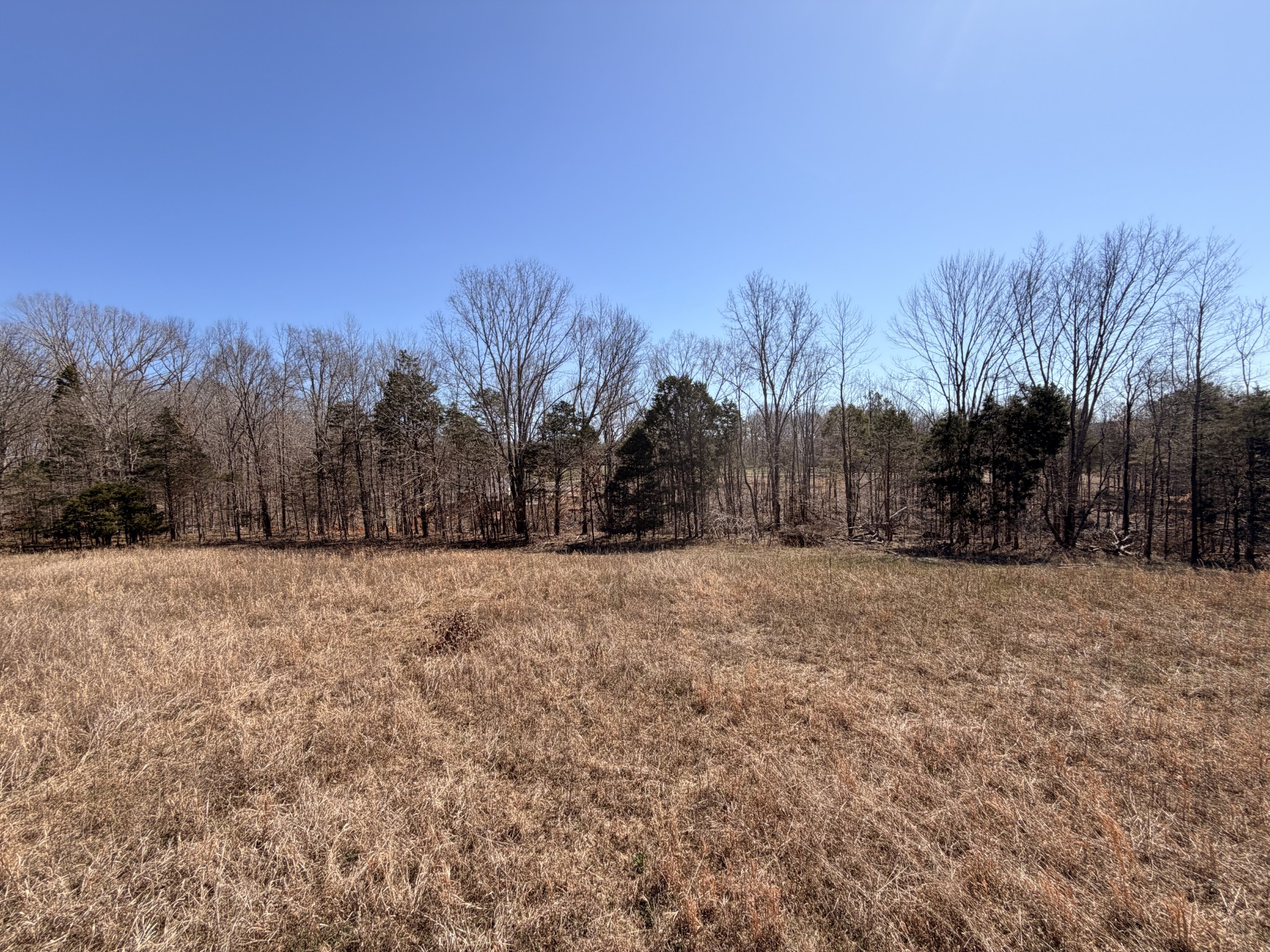 1238 Breeden Road Charlotte, TN 37036 - Photo 20 of 24 a view of open space with green space