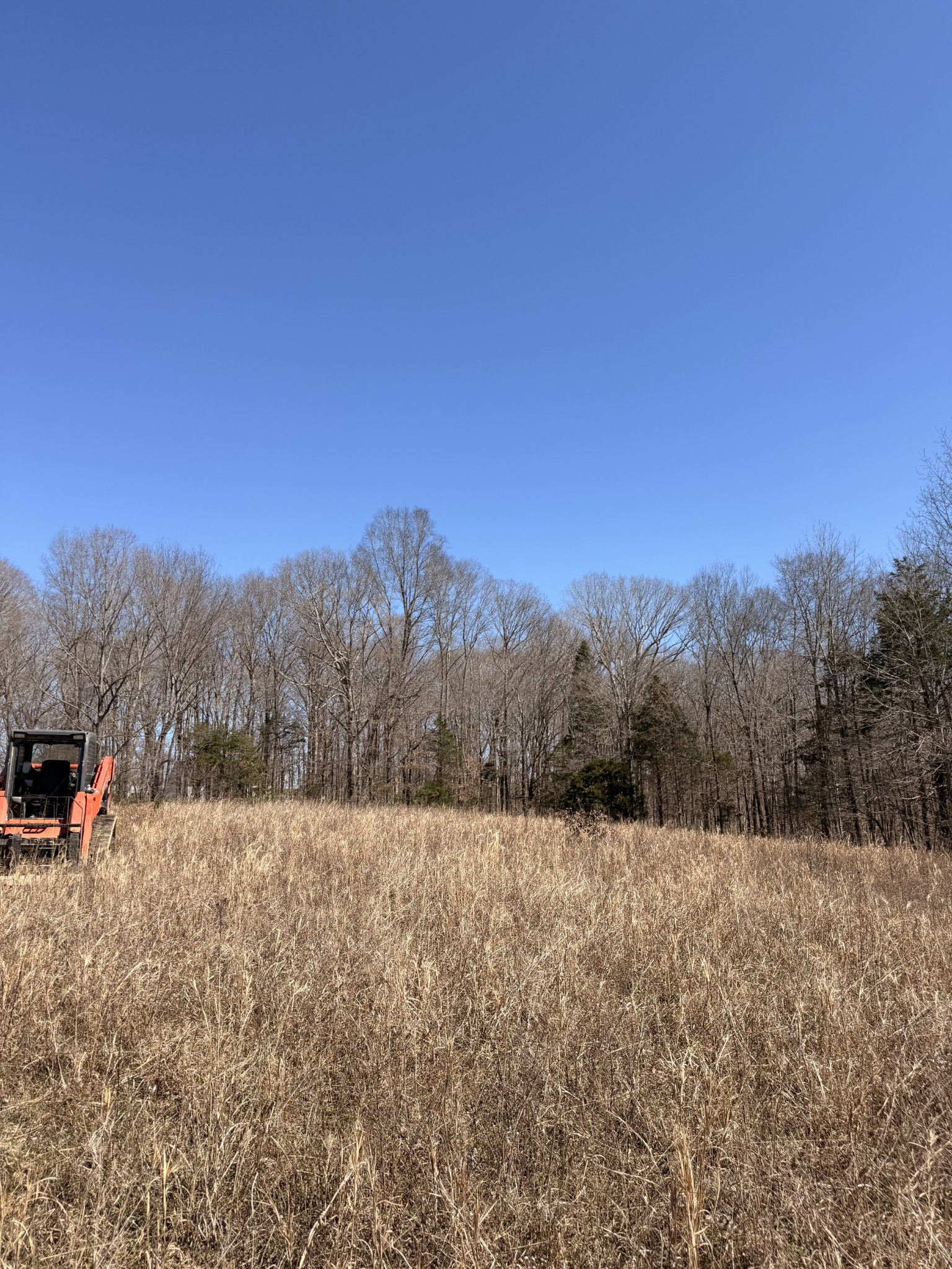 1238 Breeden Road Charlotte, TN 37036 - Photo 21 of 24 a view of outdoor space with mountain view