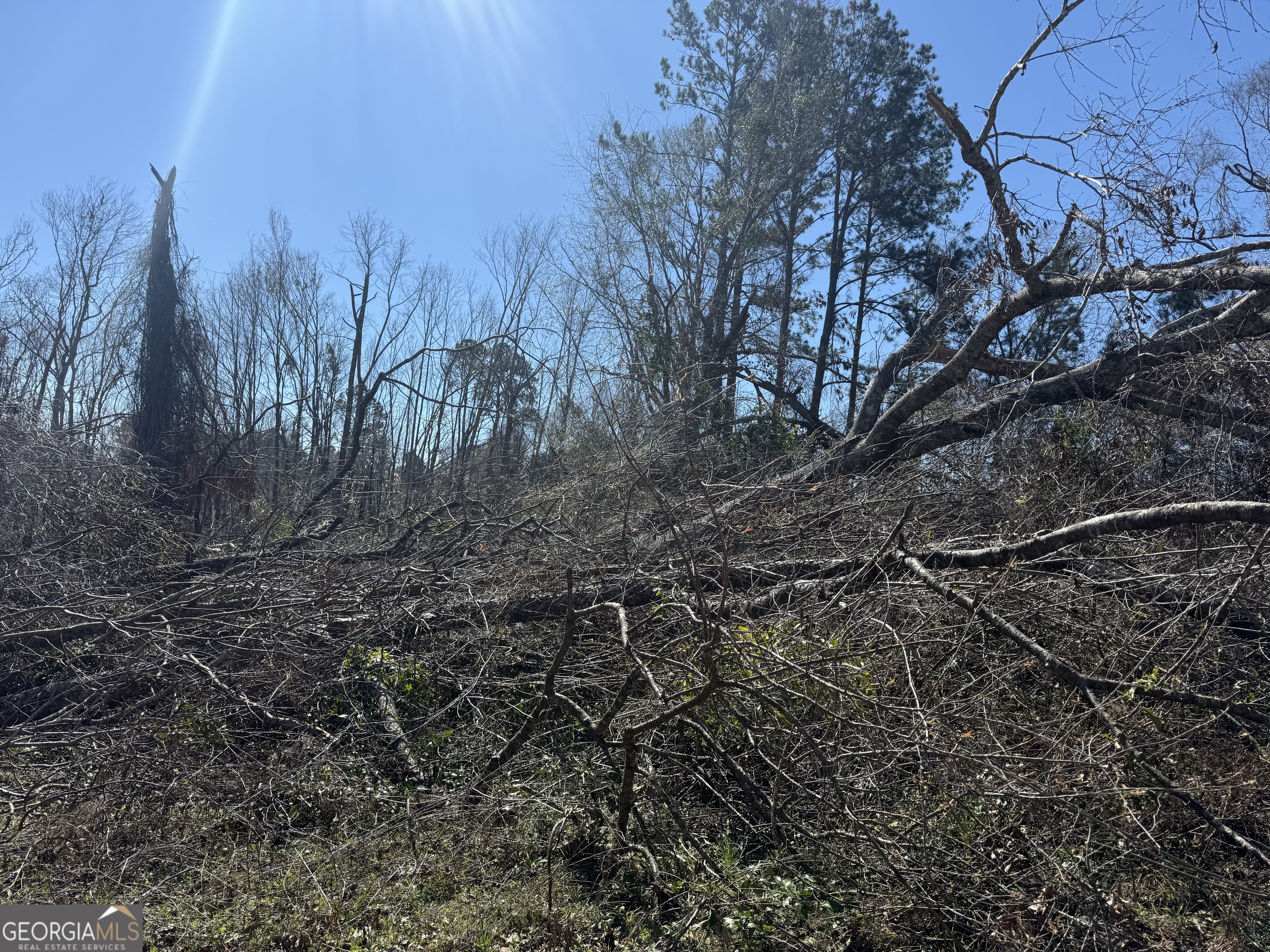 0 Wragler Lane Hazlehurst, GA 31539 - Photo 1 of 1