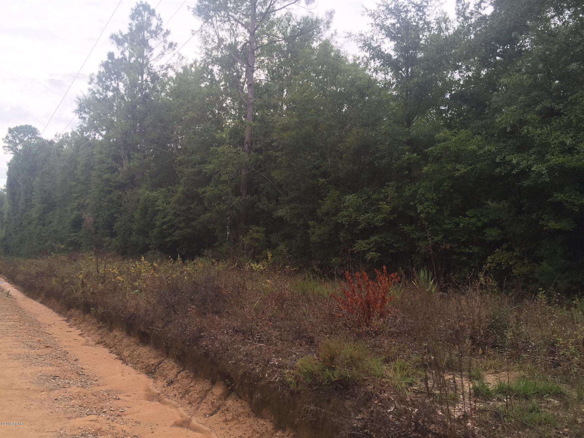 0 Lakeview Road Caryville, FL 32427 - Photo 6 of 9 Gallery Image 6