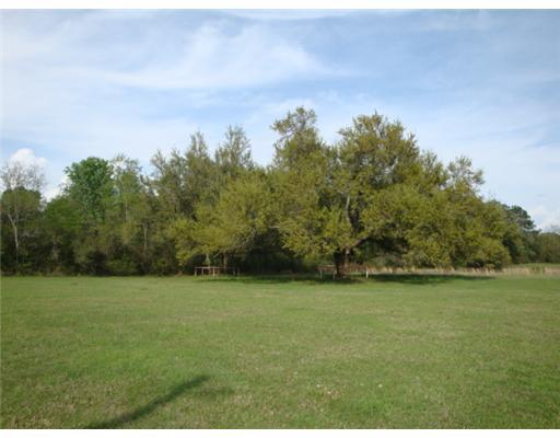 82308 Barney Core Road Folsom, LA 70437 - Photo 5 of 15 Gallery Image 5