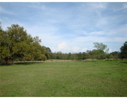 82308 Barney Core Road Folsom, LA 70437 - Photo 6 of 15 Gallery Image 6