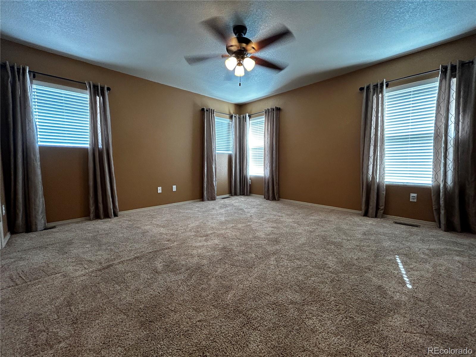 7822 Tango Lane Colorado Springs, CO 80923 - Photo 14 of 19
