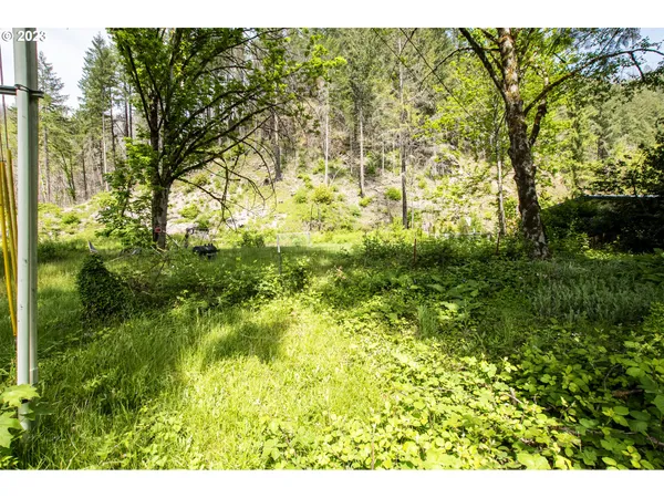 $119,000 | 47987 McKenzie Highway, Vida, OR 97488