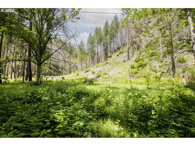 $119,000 | 47987 McKenzie Highway, Vida, OR 97488