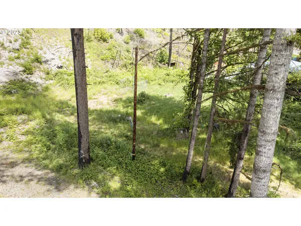 $119,000 | 47987 McKenzie Highway, Vida, OR 97488