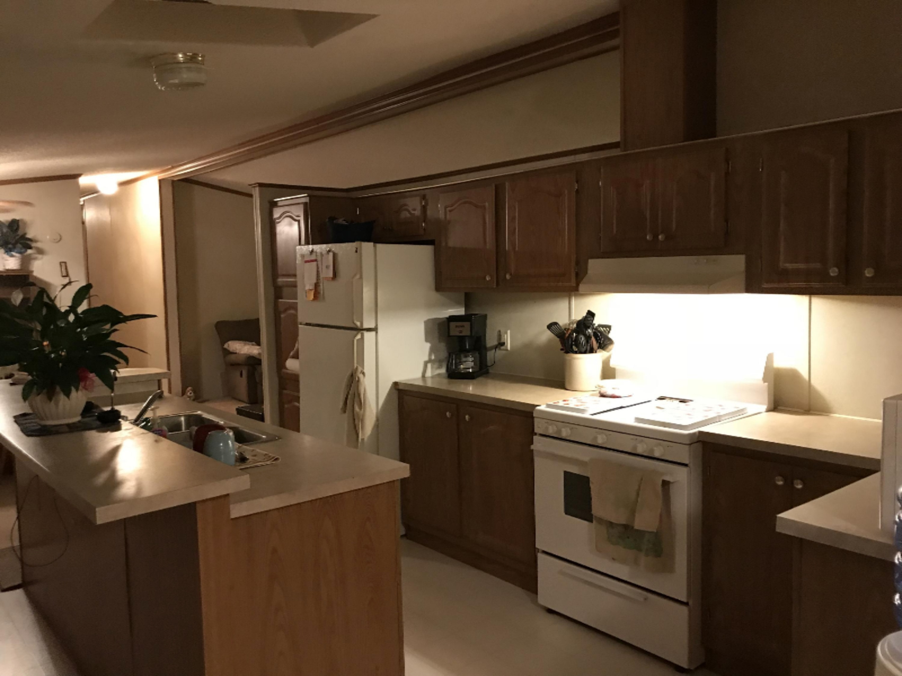 774 East Bricker Road Fenwick, MI 48834 - Photo 19 of 29 IMG_0933