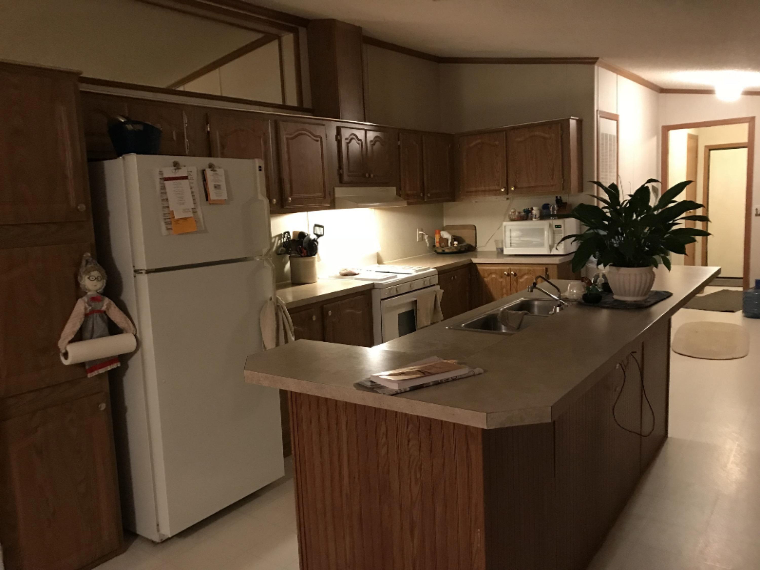 774 East Bricker Road Fenwick, MI 48834 - Photo 20 of 29 IMG_0935