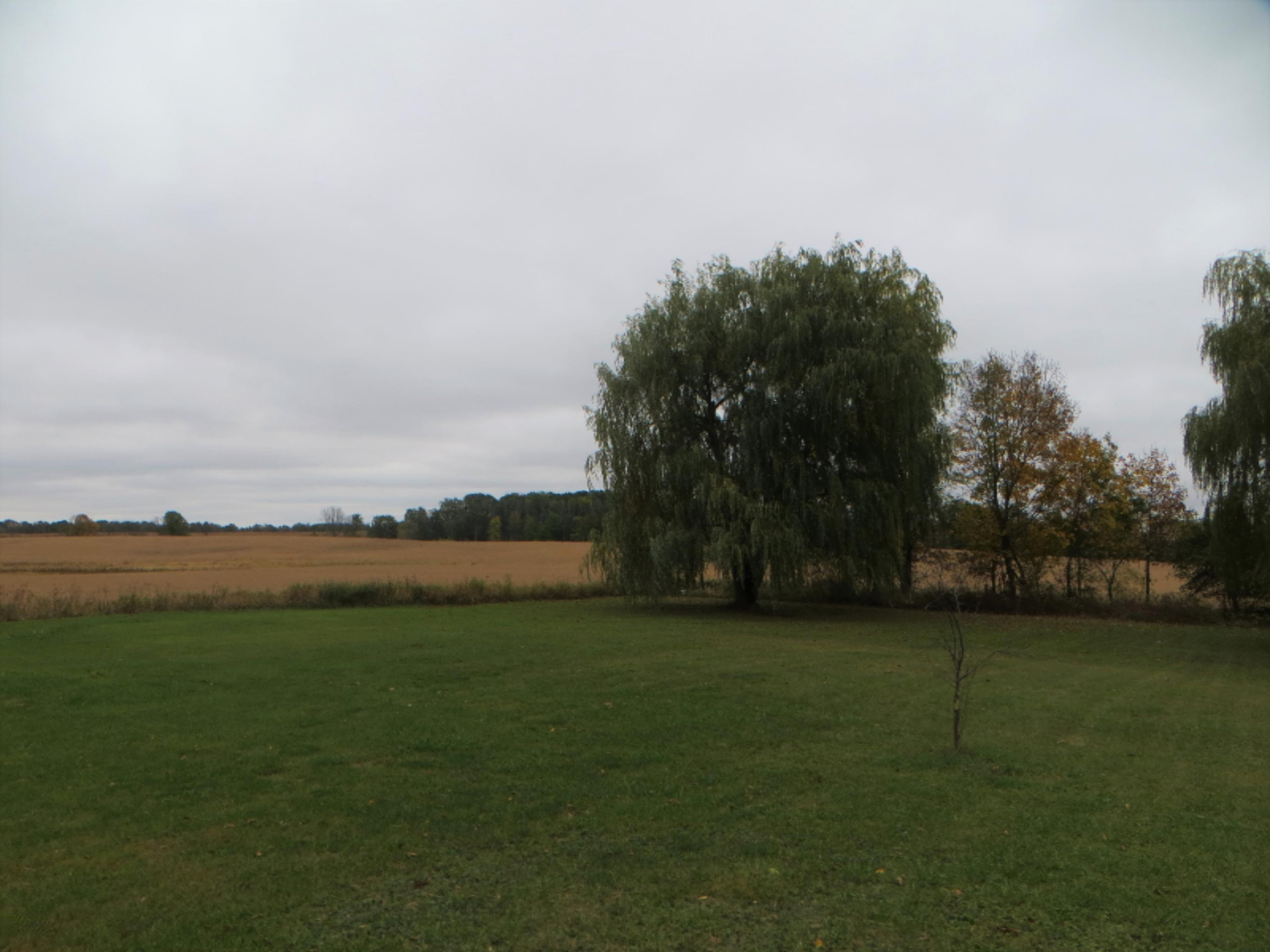 774 East Bricker Road Fenwick, MI 48834 - Photo 9 of 29 9
