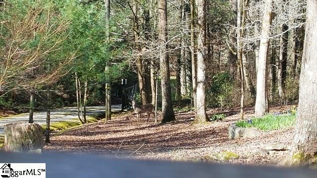 7 South Blythe Shoals Road Cleveland, SC 29635 - Photo 3 of 36 Gallery Image 3