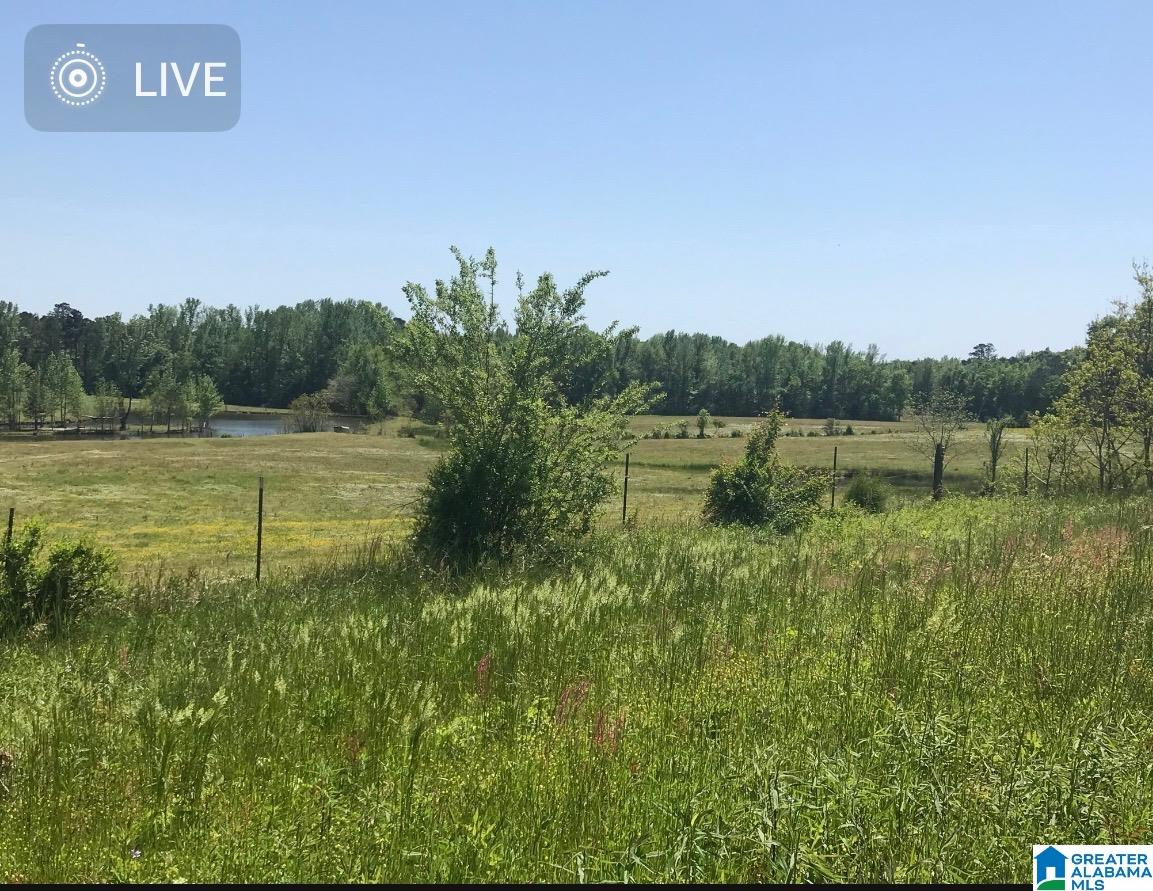 0 New Harmony Road, Unit 35 ACRES / Clanton, AL 35045 - Photo 19 of 21