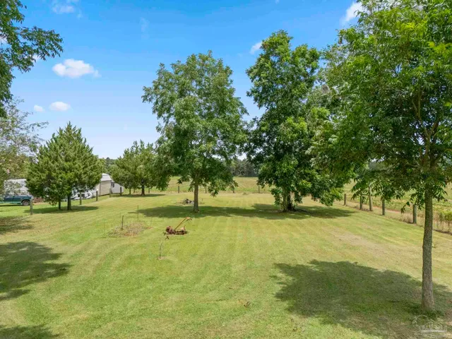 a view of field with trees in the background