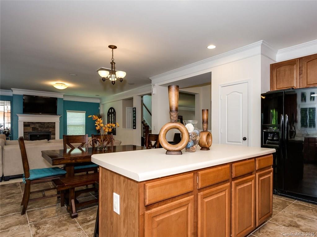 523 Nanny Point Drive Monroe, NC 28110 - Photo 6 of 24