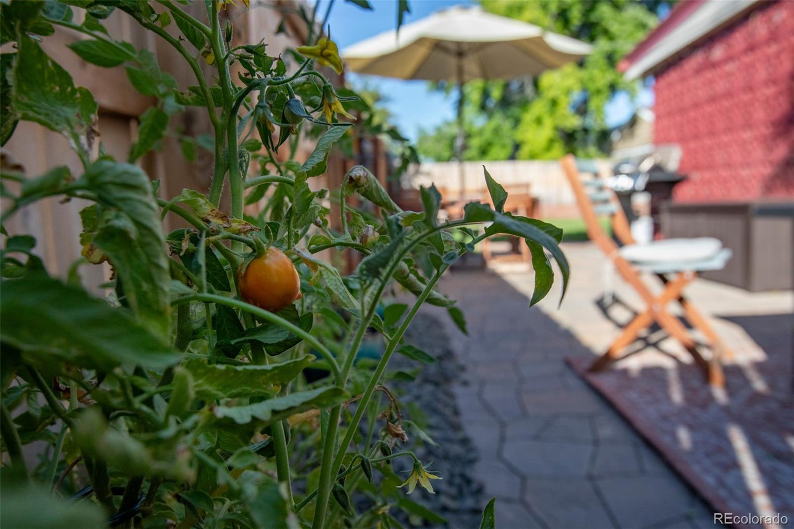 6970 Morrison Drive Denver, CO 80221 - Photo 39 of 39