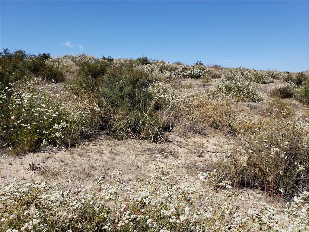 0 Spring Valley Road Temecula, CA 92592 - Photo 1 of 1 a view of a dry yard with trees in the background