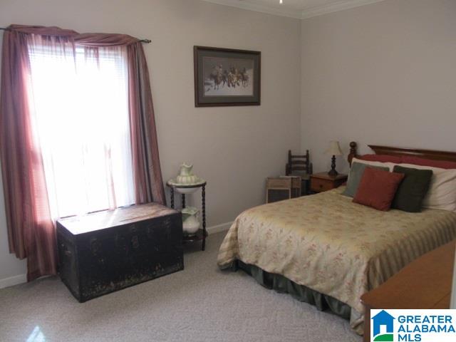1210 River Bend Road Altoona, AL 35952 - Photo 32 of 50