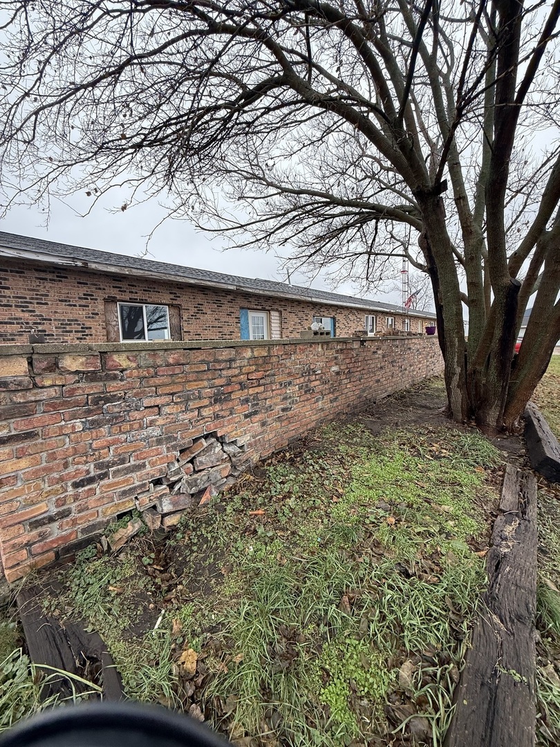 161 South Will Road Braidwood, IL 60408 - Photo 4 of 12