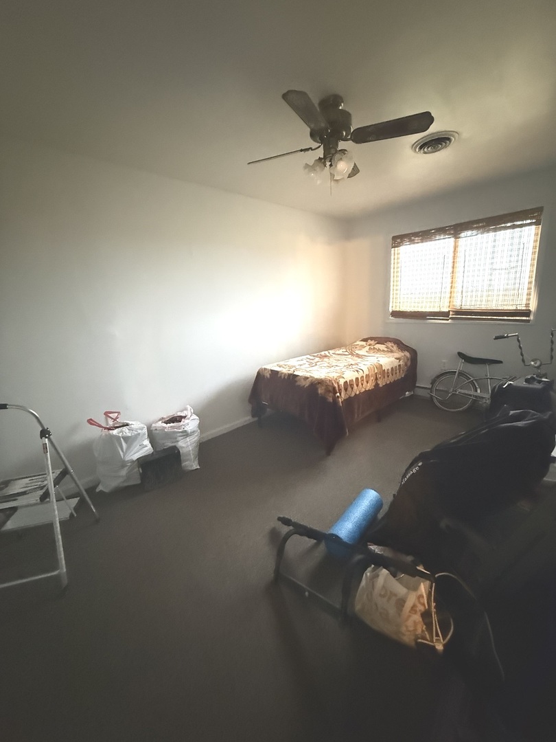 161 South Will Road Braidwood, IL 60408 - Photo 9 of 12