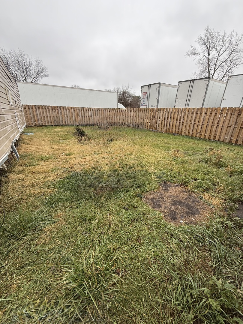 161 South Will Road Braidwood, IL 60408 - Photo 10 of 12