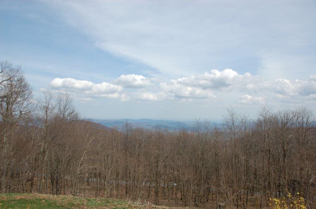 1719 High Ridge, Unit 1719 Roseland, VA 22967 - Photo 9 of 9 Gallery Image 9
