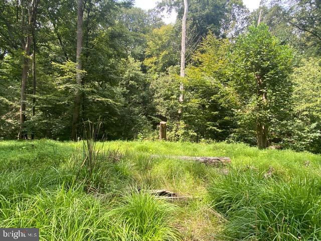 500 Holly Road Fort Washington, MD 20744 - Photo 1 of 7 Gallery Image 1
