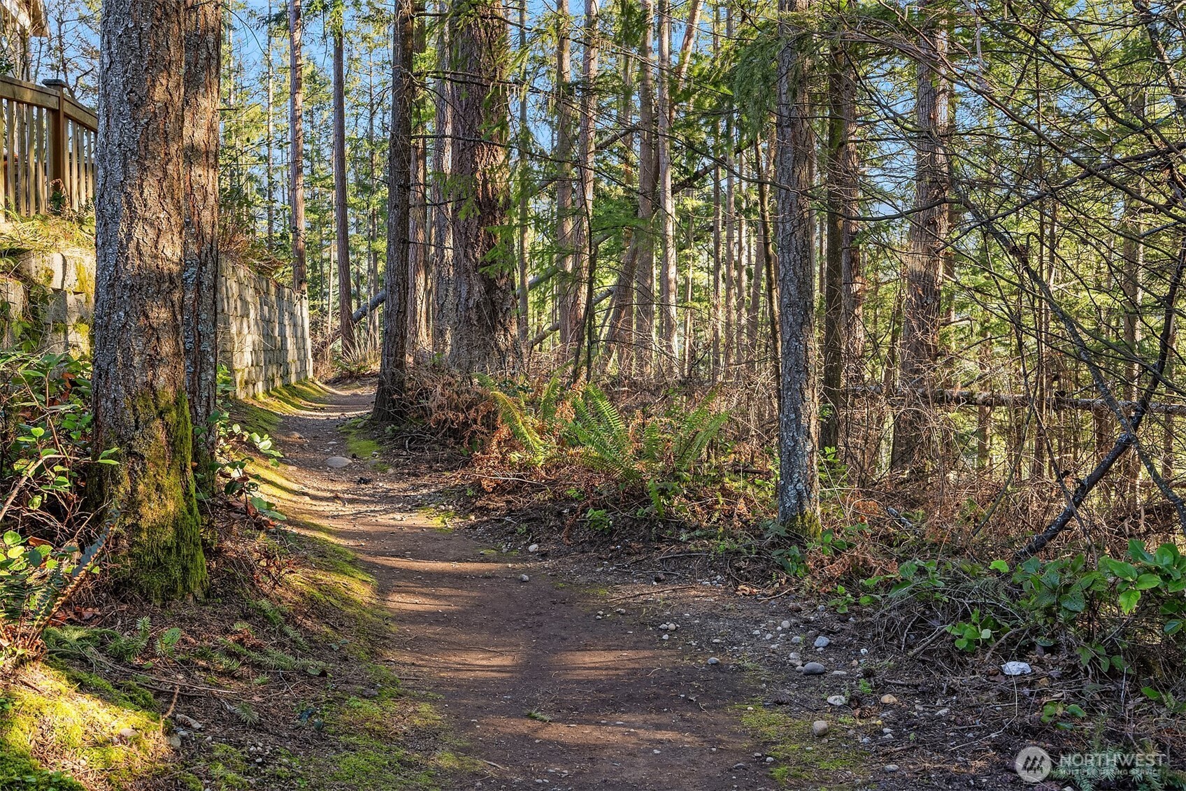 404 6th Lane Northeast Issaquah, WA 98029 - Photo 28 of 29