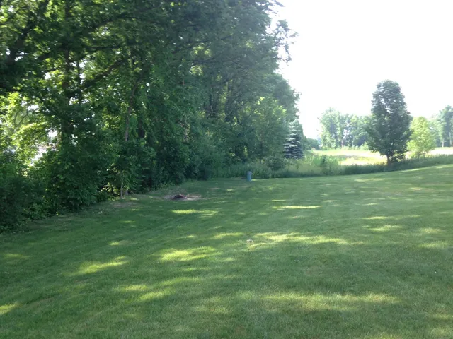 a view of yard with green space