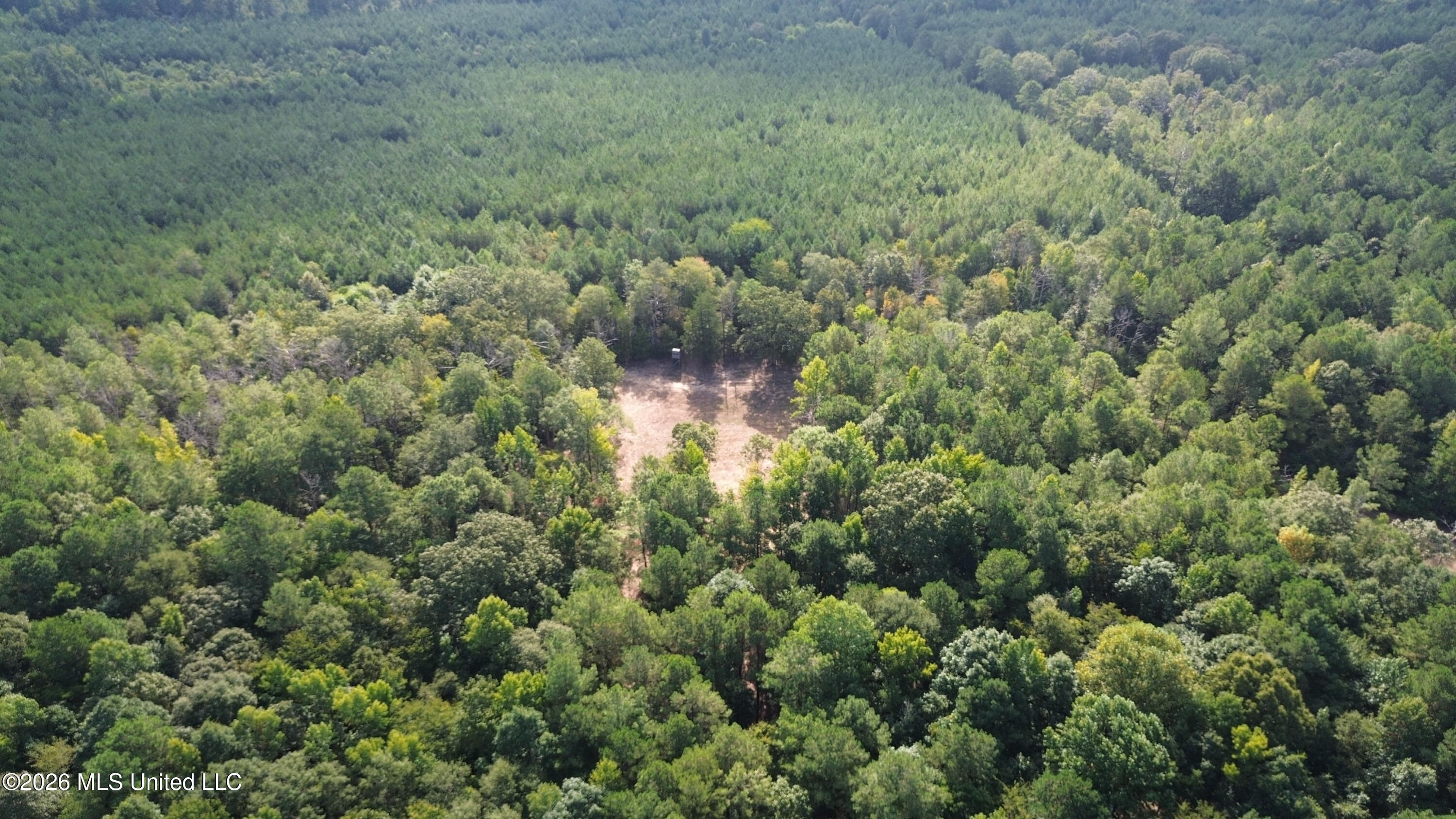 11330 Ms-429 Carthage, MS 39051 - Photo 71 of 128 DJI_0615