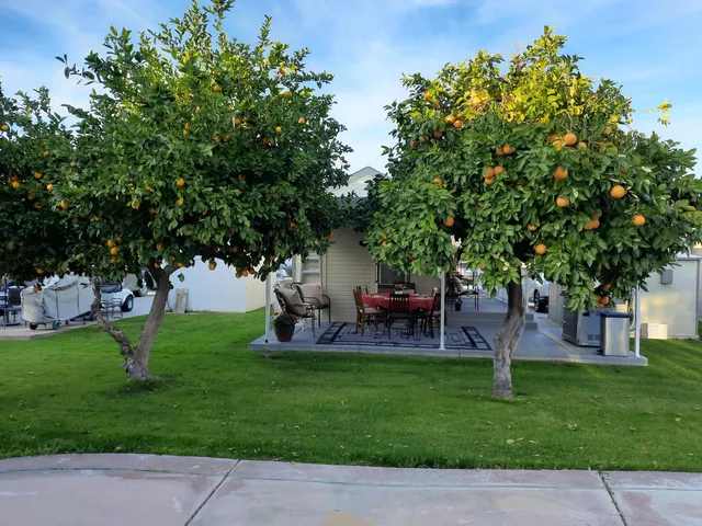 $89,000 | 81620 Ave 49, Unit 231B, Indio, CA 92201