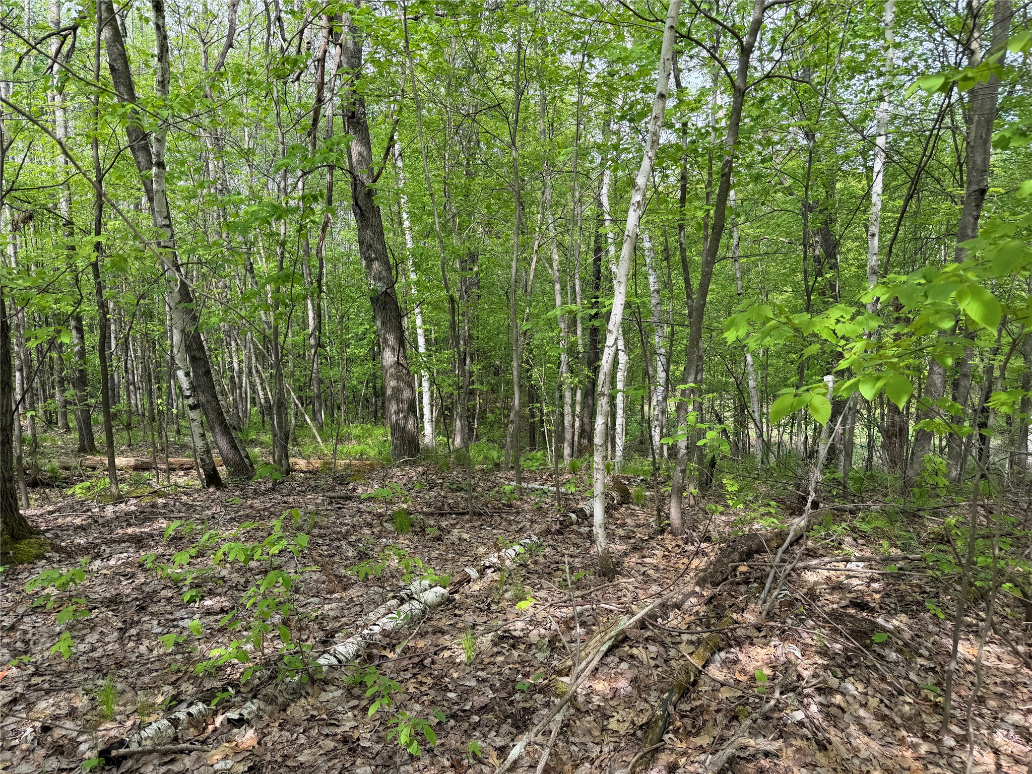 Lot 4 Peterson Road Foxboro, WI 54836 - Photo 2 of 11 Gallery Image 2