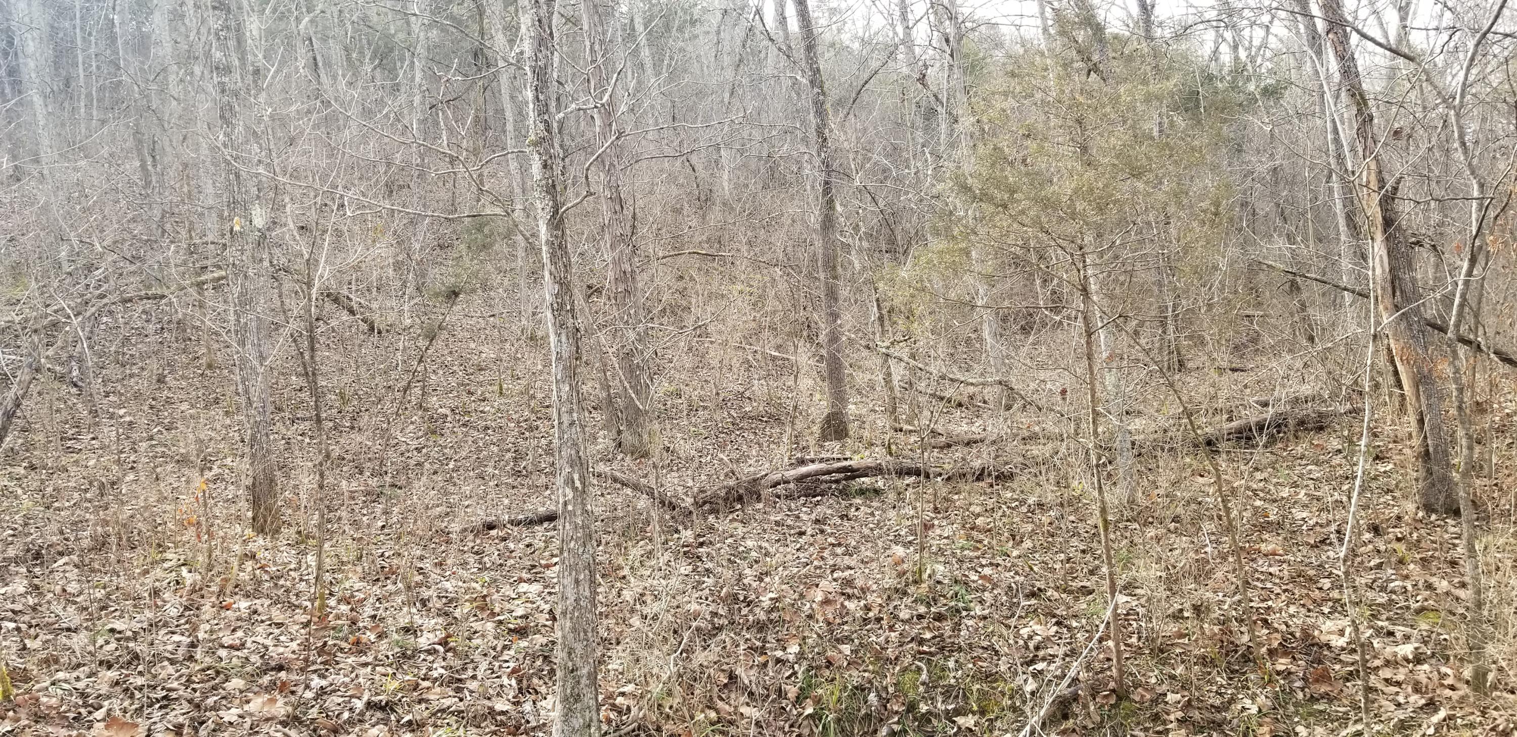 407 Catlett Road Harrodsburg, KY 40330 - Photo 26 of 45 20210206_151834