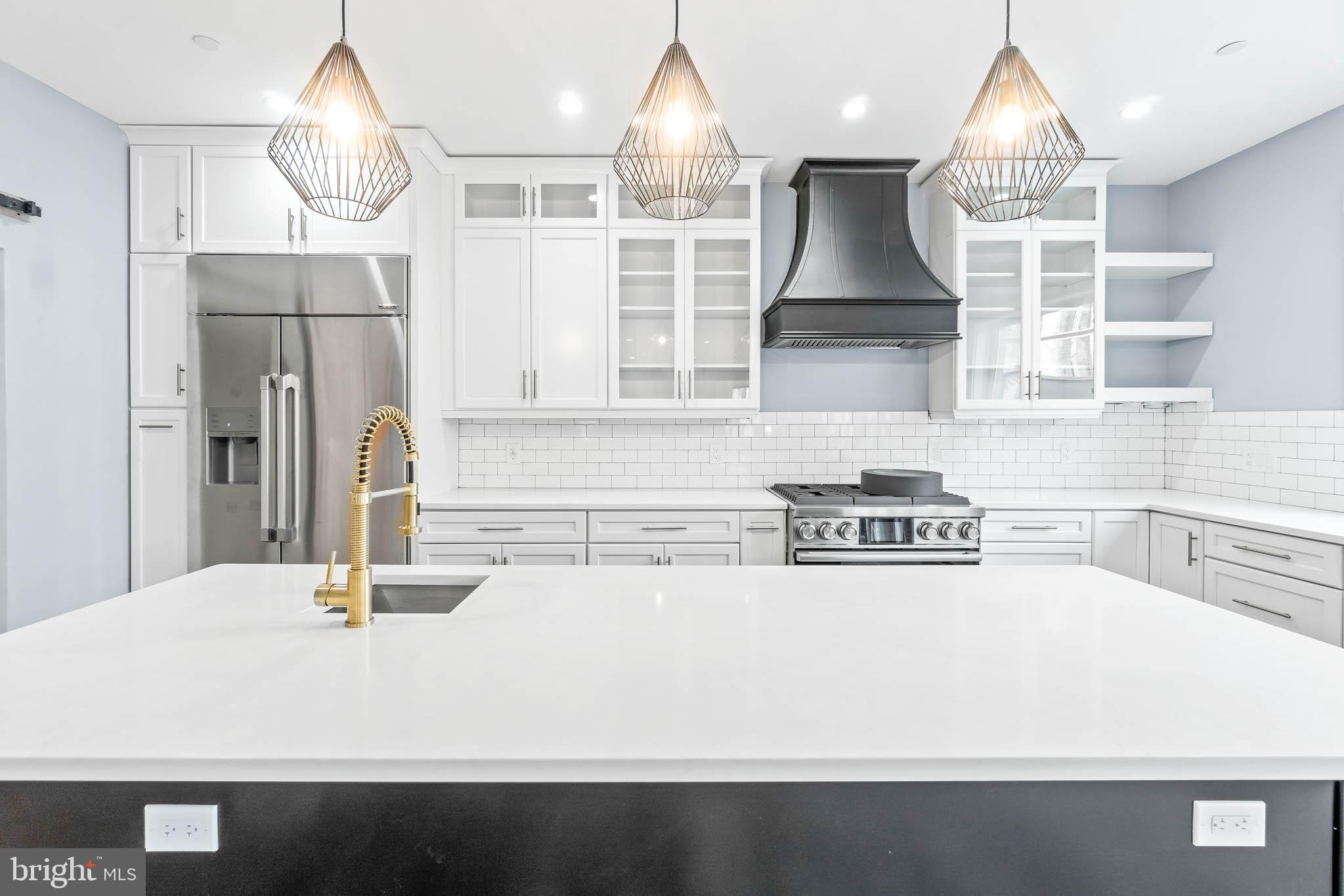 204 Geneva Avenue Silver Spring, MD 20910 - Photo 3 of 62 Elegant Quartz Counters!