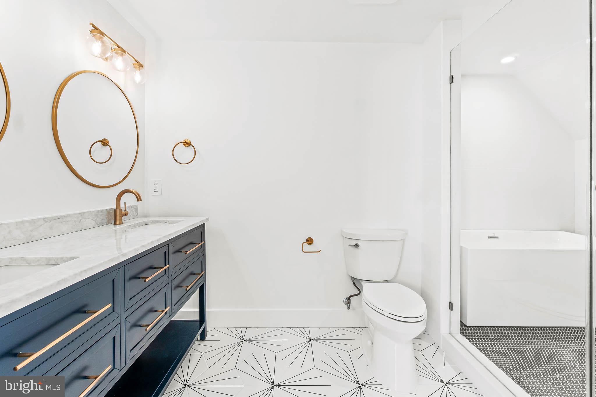204 Geneva Avenue Silver Spring, MD 20910 - Photo 30 of 62 Check out the Master Bath!