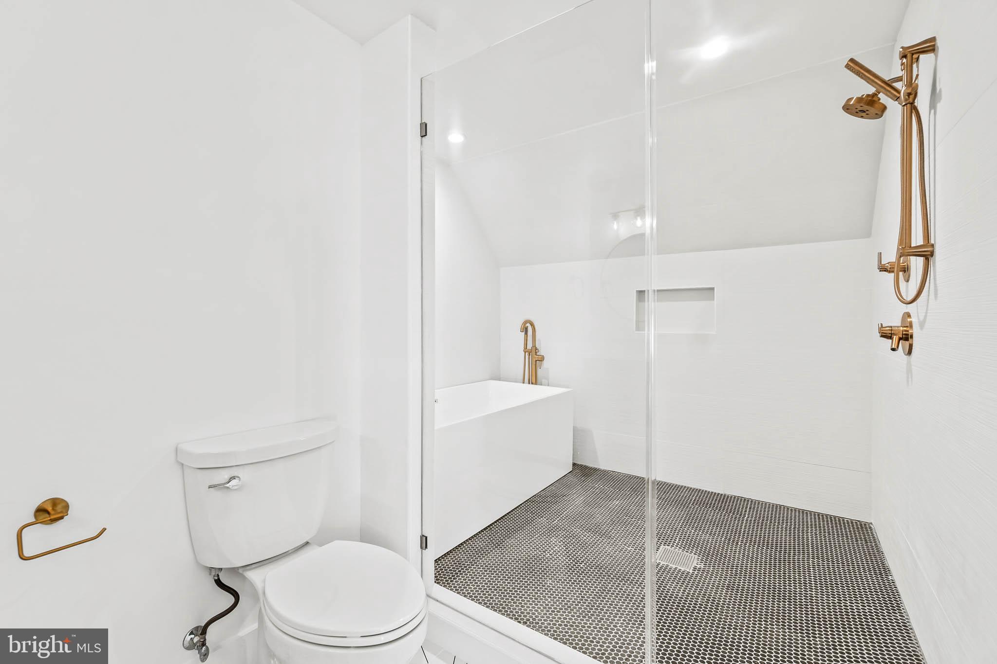 204 Geneva Avenue Silver Spring, MD 20910 - Photo 33 of 62 Shower? Bath? Take your pick!