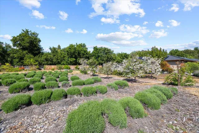 $4,799,888 | 20811 Norada Court, Saratoga, CA 95070