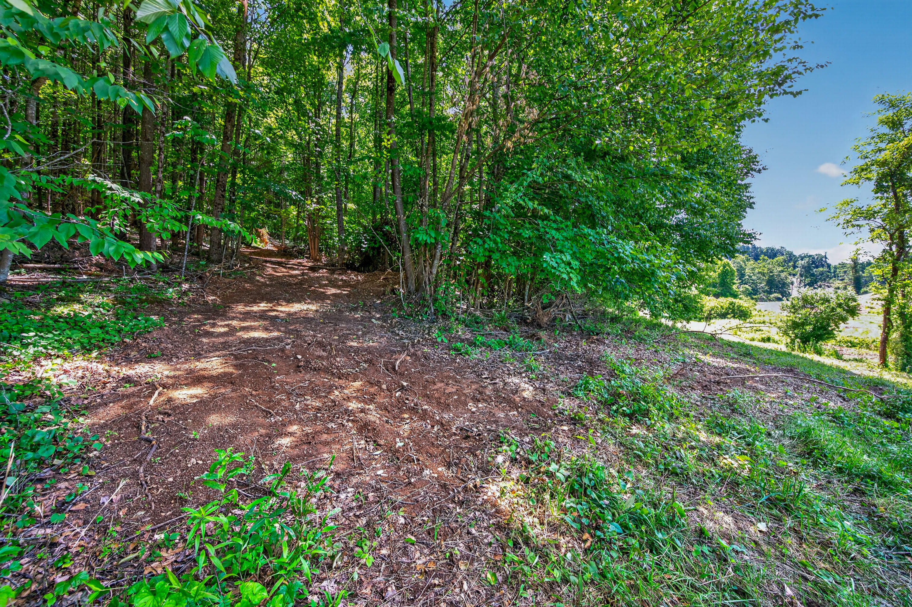 6196 Chances Creek Road Fancy Gap, VA 24328 - Photo 37 of 78 38