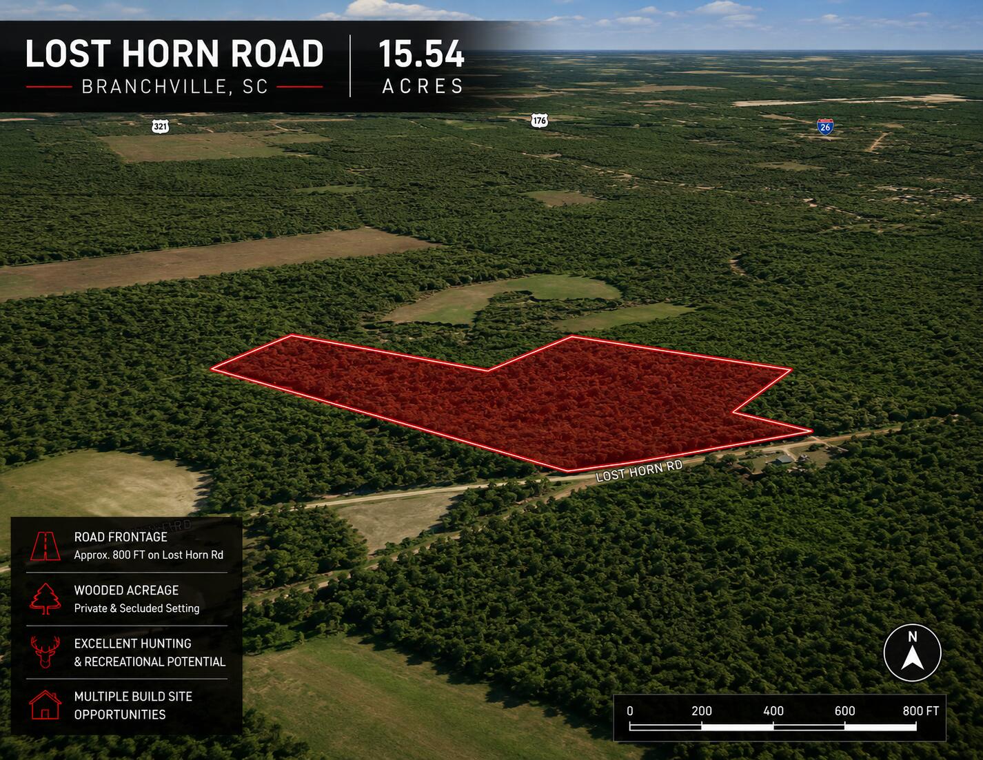 1 Lost Horn Road Reevesville, SC 29471 - Photo 4 of 11 l4