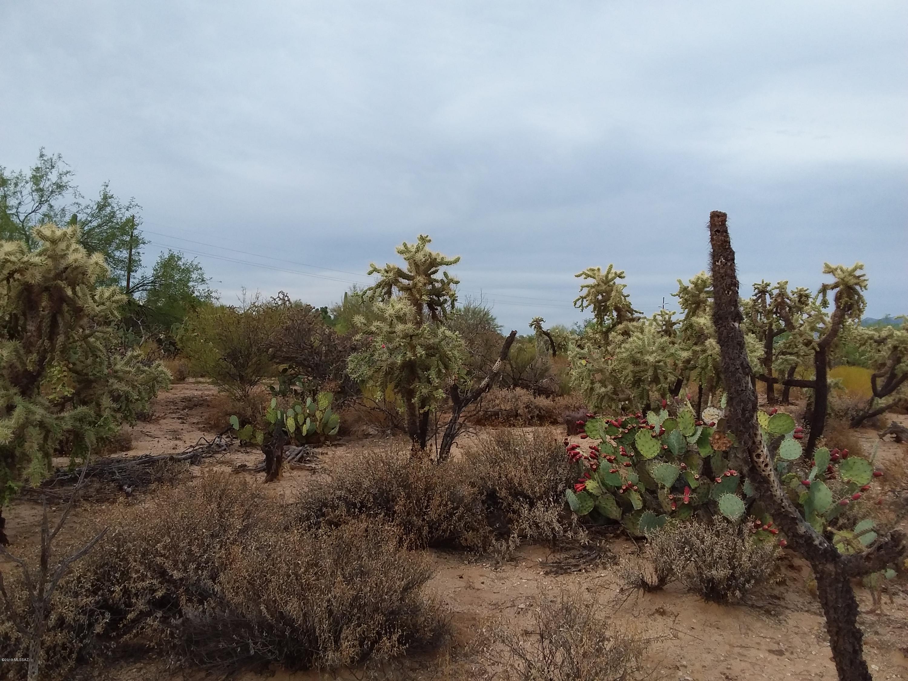 2315 West Tangerine Road Tucson, AZ 85742 - Photo 9 of 27
