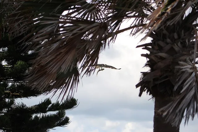 $15,000 | 2709 Casey Key Road, Nokomis, FL 34275