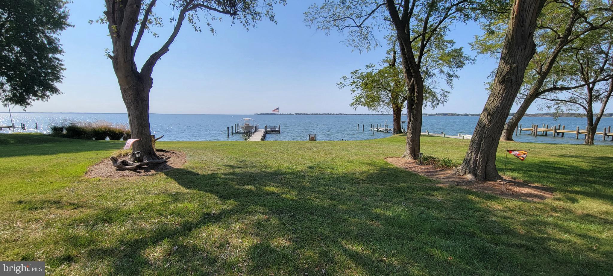 1360 Calvert Road Chester, MD 21619 - Photo 21 of 66 a view of a tree in a yard