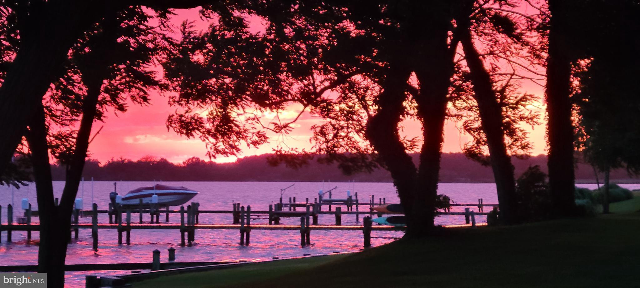 1360 Calvert Road Chester, MD 21619 - Photo 48 of 66 a view of a yard with a tree