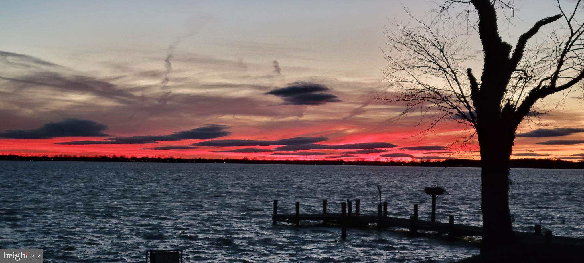 1360 Calvert Road Chester, MD 21619 - Photo 52 of 66 a view of a back yard